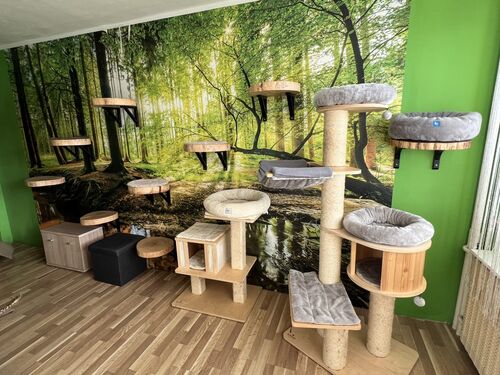 Interiér a vybavení hotelu pro kočky Mazlík 3