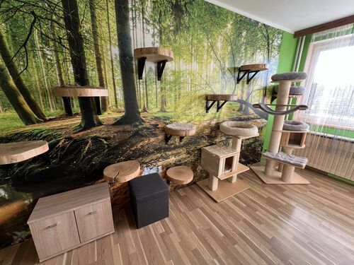 Interiér a vybavení hotelu pro kočky Mazlík 7