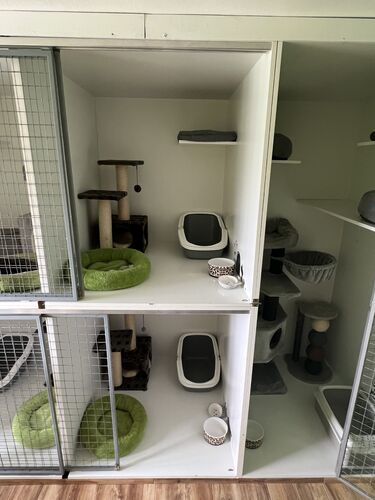 Interiér a vybavení hotelu pro kočky Mazlík 20